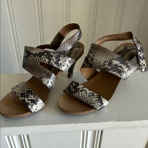 Snakeskin Pattern and Adjustable Straps‎